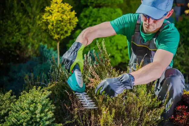 landscaping services Boothville
